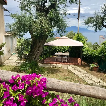 Sorrento Garden Hotel Exterior photo