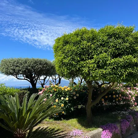 Sorrento Garden Hotel Exterior photo