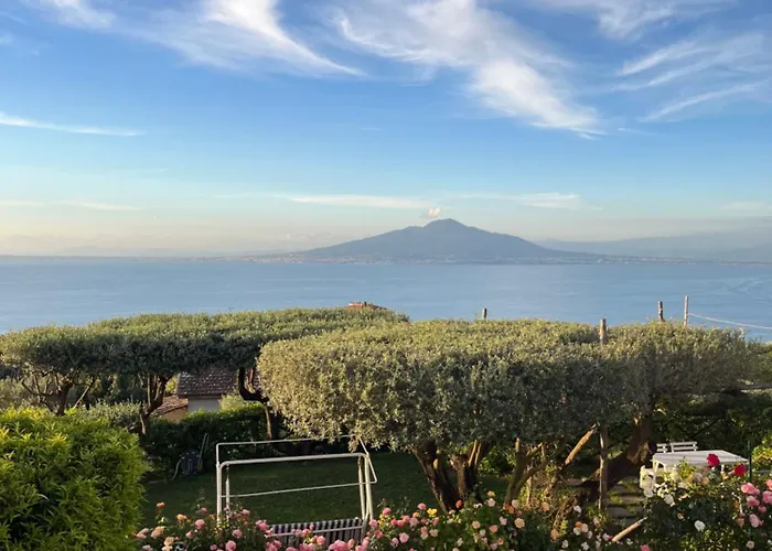 Sorrento Garden