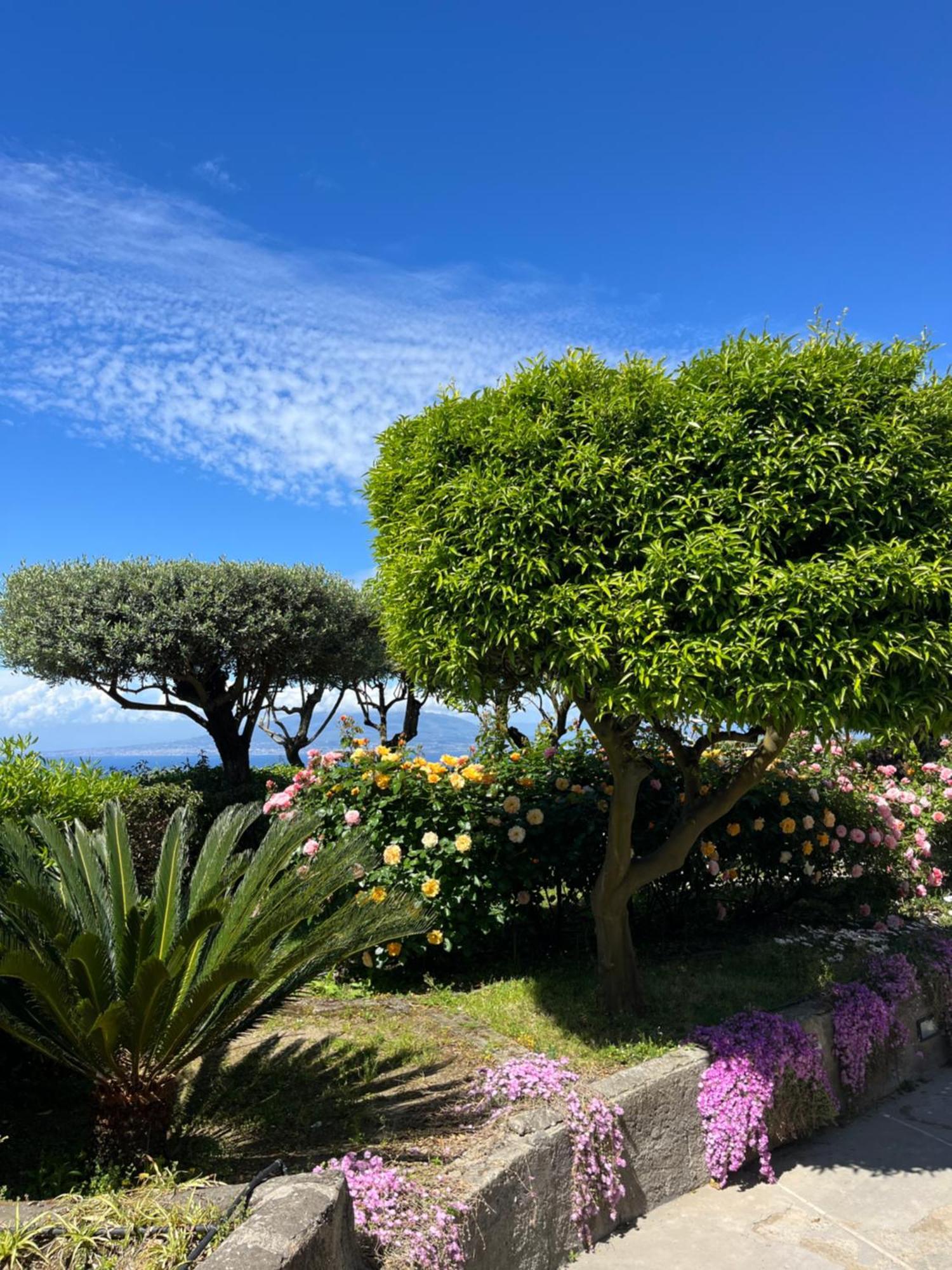 Garden Guest house