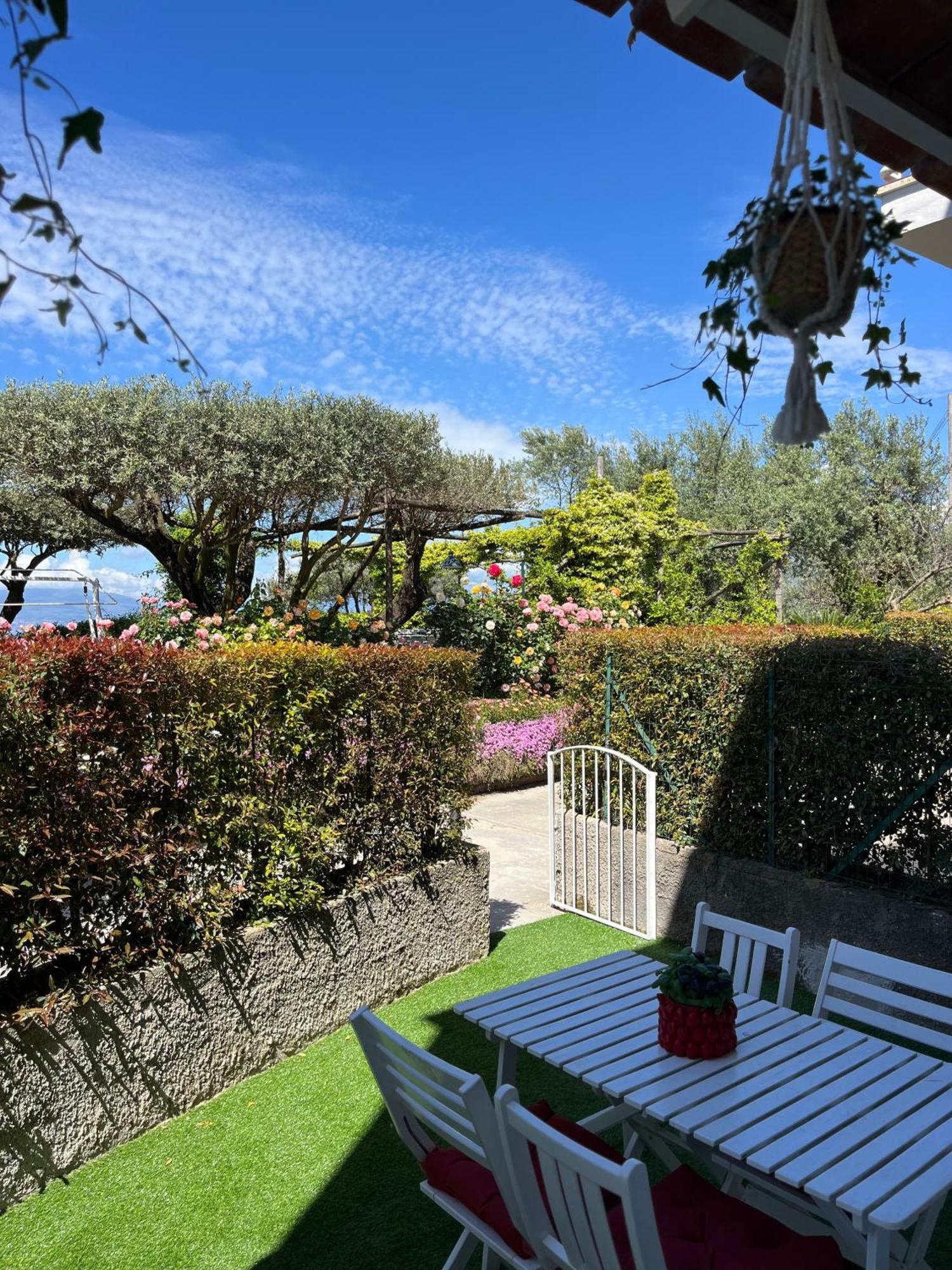 Guest house Garden
